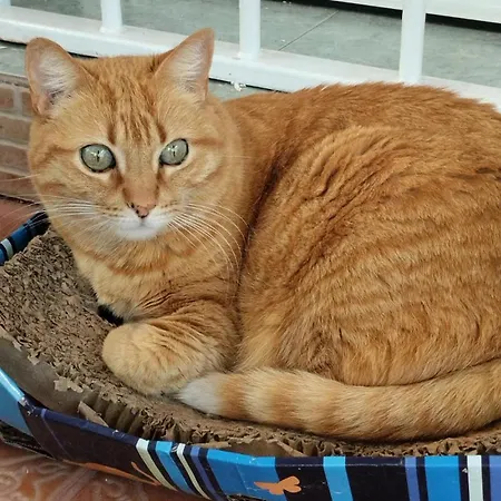 Muy Centrica Privatunterkunft Torremolinos