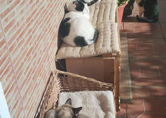 Muy Centrica Torremolinos