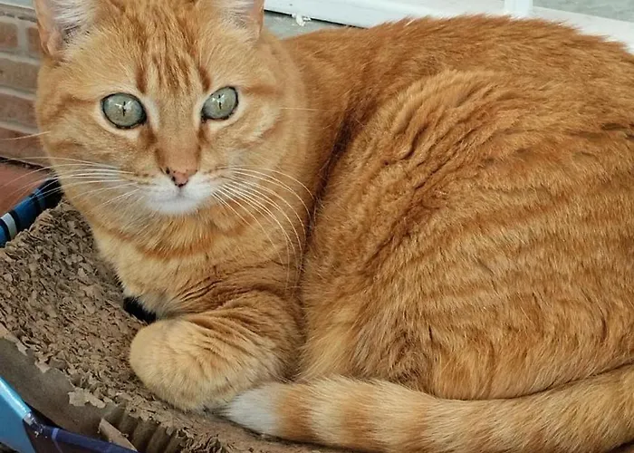 Muy Centrica Privatunterkunft Torremolinos