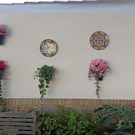 Muy Centrica Torremolinos